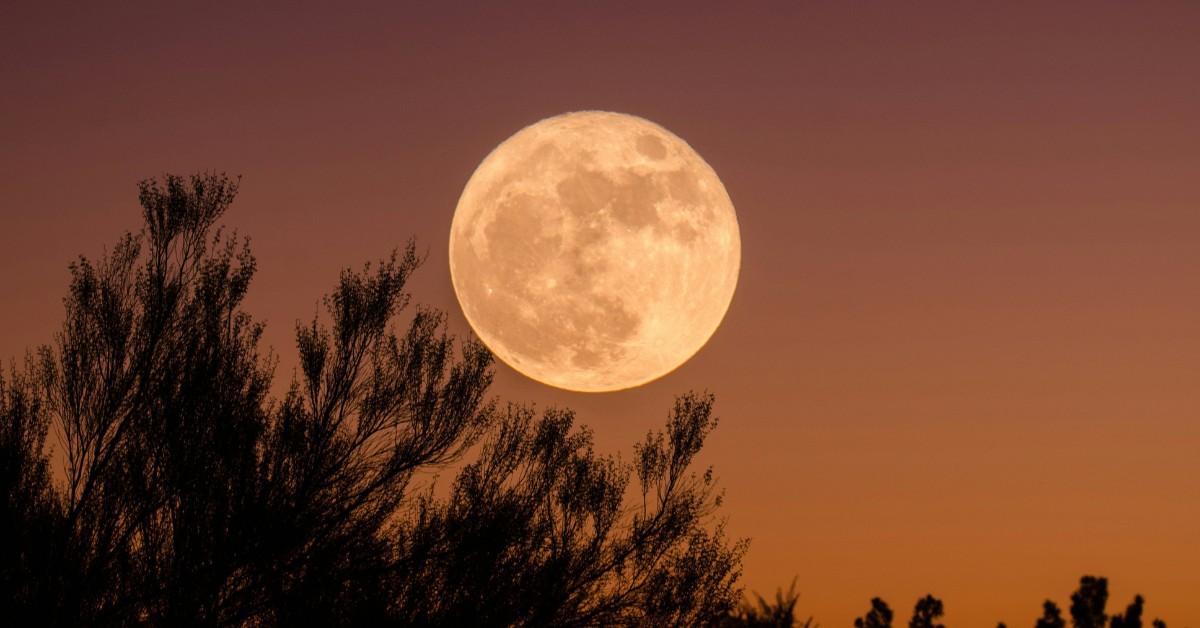 Why Is the Moon So Giant Tonight?